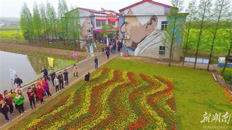 湖南南县首届国际涂鸦艺术节开幕 - 湘设计轮播图 - 新湖南