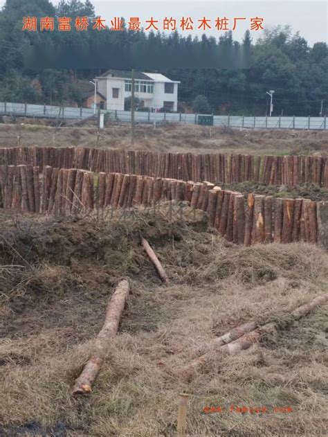 天津木桩加工可削尖可刷油黄花松材质景观工程园艺护栏木质木桩-阿里巴巴