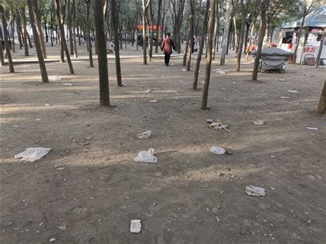 小树林地面“长满”塑料袋 市民呼吁将垃圾妥善处理_综合新闻_唐山环渤海新闻网