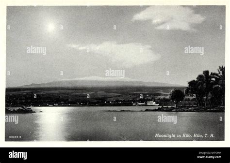 Hilo HI - Moonlight in Hilo (NBY 429958 Stock Photo - Alamy