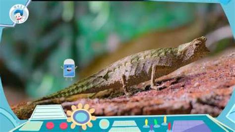 小小世界历险记：带孩子探秘小动物的世界 第02集 变色龙，丛林的隐身家
