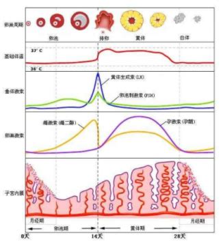 网站SEO优化周期多久会有效果（探究SEO优化的时间周期及其影响因素）-8848SEO