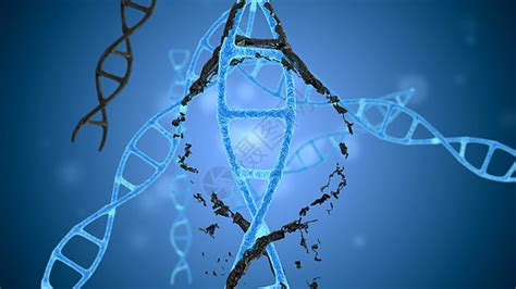 《第1节 基因突变和基因重组》2019年审定人教版高中生物必修二_高中课本-中学课本网