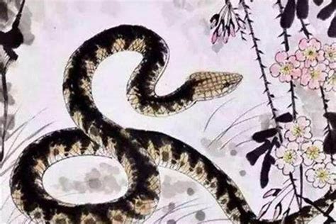 生肖蛇1977年最倒霉的年龄(77年属蛇几月最苦)_生肖_若朴堂文化