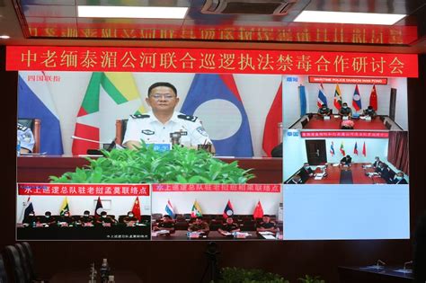 裴青山以视频方式出席第11届湄公河-恒河合作外交部长会议 | 时政 | Vietnam+ (VietnamPlus)
