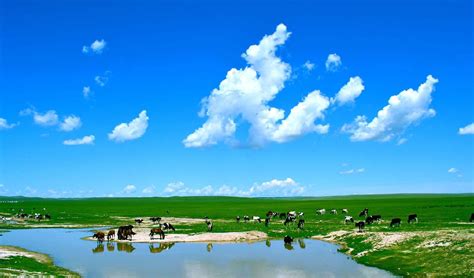 内蒙古呼伦贝尔大草原高清图片下载-正版图片500791306-摄图网