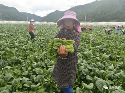 兰坪县首个易地扶贫搬迁安置点普惠金融服务站 正式启用_腾讯视频