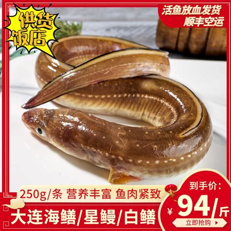 河鳗和海鳗的区别（日本的鳗鱼饭是海鳗还是河鳗）-禾马农业网