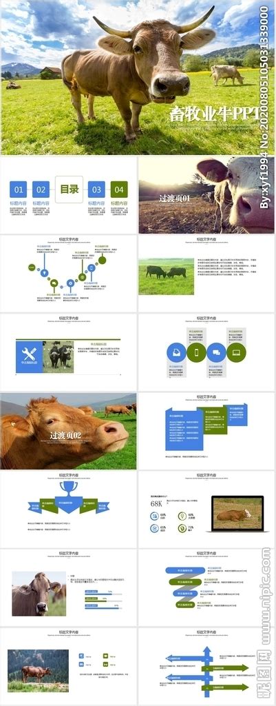生态养殖畜牧业奶牛ppt__计划|总结_PPT_多媒体图库_昵图网nipic.com