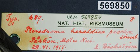 NRM 569850 - Naturhistoriska riksmuseet