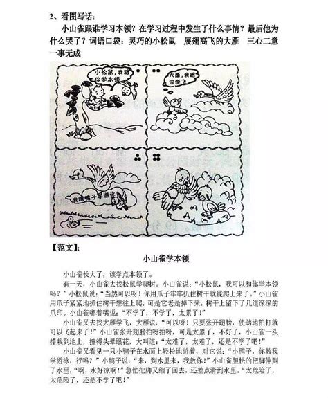 小学二年级作文不会写？这份看图写话大全备好，不愁考试拿满分！|年级|满分|作文_新浪新闻