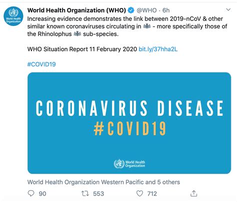 世卫组织最新疫情报告：新冠病毒与菊头蝠冠状病毒有关联_凤凰网