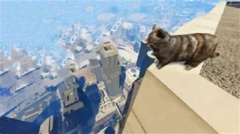 小猫咪困在22楼天台，尾巴被下水道夹断，危在旦夕！_腾讯视频