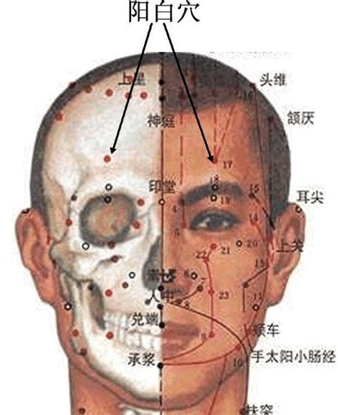 阳白的准确位置图图片 阳白的准确位置图图片