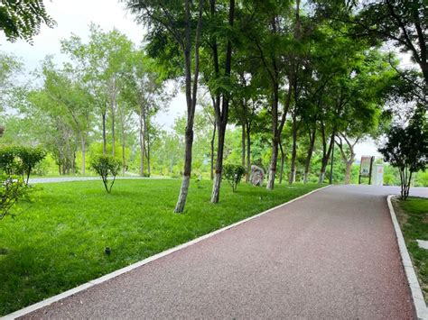 【白银写真】山清水秀城更美——白银市园林绿化成效掠影