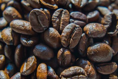 巴莱烘焙咖啡豆普洱咖啡豆新鲜烘焙 云南小粒卡蒂姆咖啡豆 500g-阿里巴巴