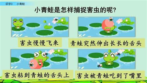 第6课 保护青蛙的宣传画 课件（10张ppt）+视频-21世纪教育网