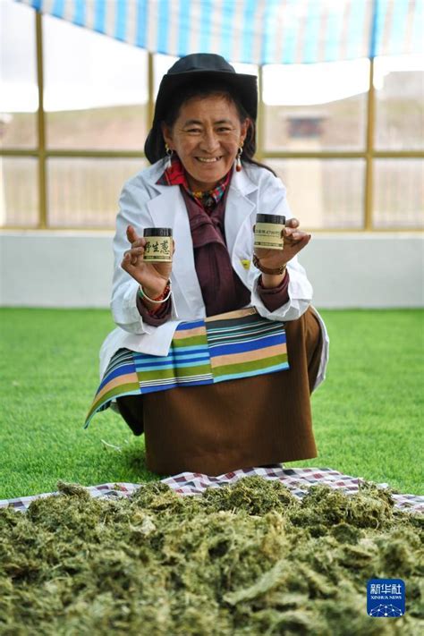 西藏措勤：产业园区助民增收_时图_图片频道_云南网
