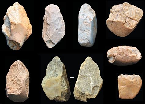 新石器时代和旧石器时代有什么区别？石器的变化见证社会的巨变|石器时代|石器|原始群_新浪新闻