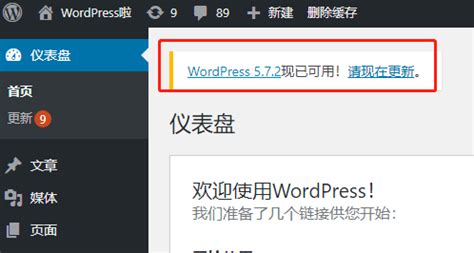 详解WordPress升级教程 版本更新方法-WordPress啦