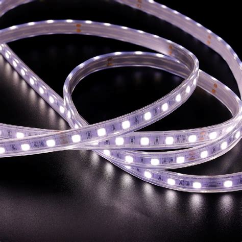 低压硅胶透明灯带-江门市南极光照明科技有限公司