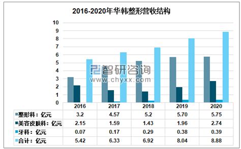 整形美容市场分析报告_2020-2026年中国整形美容市场深度调查与未来前景预测报告_中国产业研究报告网