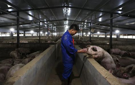 猪肉价格同比涨超1倍 10月CPI涨3.8%创逾7年新高 - 国内动态 - 华声新闻 - 华声在线