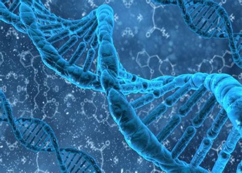 什么是基因突变,基因突变是如何发生的?-遗传病生育网