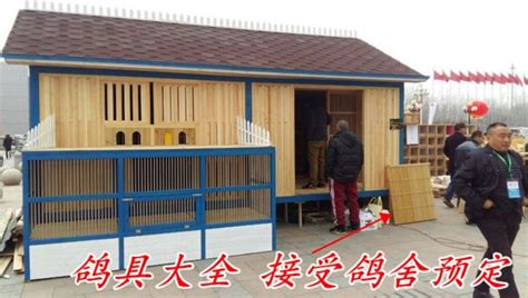 我的阳台鸽舍--中国信鸽信息网相册