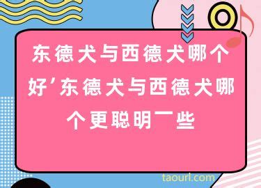 中国汽车流通协会&精真估：2022年8月中国汽车保值率报告 | 互联网数据资讯网-199IT | 中文互联网数据研究资讯中心-199IT