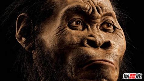 人类进化历程,古猿到人类的进化过程详解_探秘志
