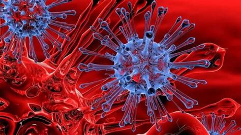 《细胞》重磅论文：新冠病毒变异后传染性更强 尚未影响疫苗研发_手机新浪网