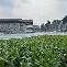 包含北京中医药大学附属护国寺中医医院黄牛B超加急陪诊跑腿代办的词条 包含北京中医药大学附属护国寺中医医院黄牛B超加急陪诊跑腿代办的词条