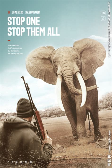 保护动物|平面|海报|Z52817309 - 临摹作品 - 站酷 (ZCOOL)