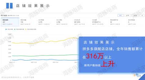 精细化运营助力厨福到，打破拼多多店铺销量困局 - 海豚网络