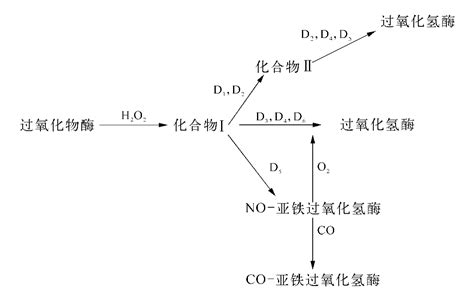 过氧化氢含量的测定 有分光光度法、滴定法、电化学法等_经济导报网