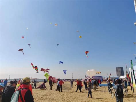 荷兰海牙举办国际风筝节 新奇风筝让人眼花缭乱