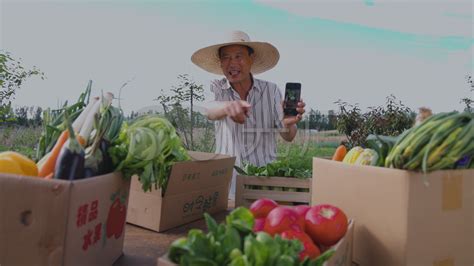 农民在网络直播销售农产品—高清视频下载、购买_视觉中国视频素材中心