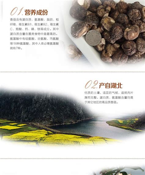 随州宝珠峰食品有限公司-随州市人民政府门户网站