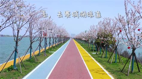 九江八里湖水上乐园 景点 -江西旅游