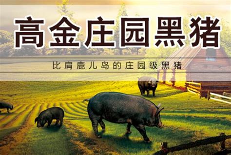 全国十大鲜猪肉品牌 壹号土猪第一，湘村黑猪上榜(3)_排行榜123网