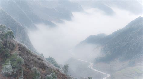 洪晓辉中国画作品欣赏 “我从山中来，带着兰花草” - 千岛湖新闻网
