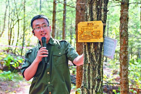 林口林业局国内最大人工林生态修复显效