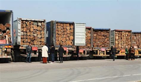 建筑用木材价格-天津**的木材批发市场