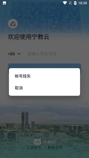 宁夏教育云平台登录入口手机版图片预览_绿色资源网