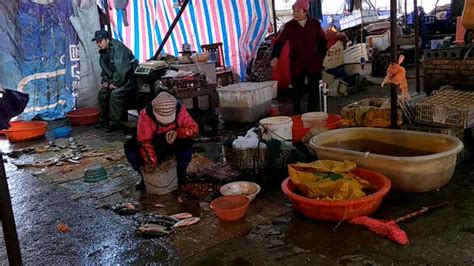 广州卖观赏鱼的地方叫什么店:广州哪里有卖鱼的地方 - 七彩神仙鱼 - 广州观赏鱼批发市场