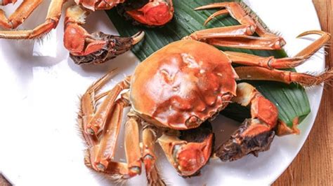 螃蟹蒸熟后第二天还能吃吗 熟螃蟹的保存方法介绍_知秀网