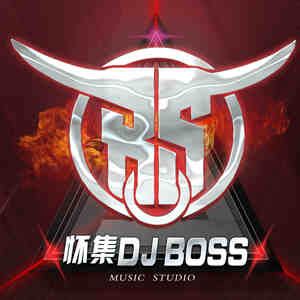 怀集DJBoss,最新 DJ专辑-宝贝DJ音乐网 www.bbdj.com 无损高品质DJ舞曲下载网站