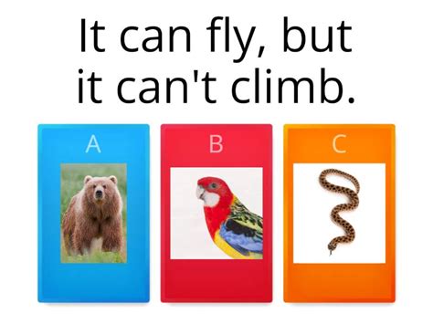 Animals - Quiz