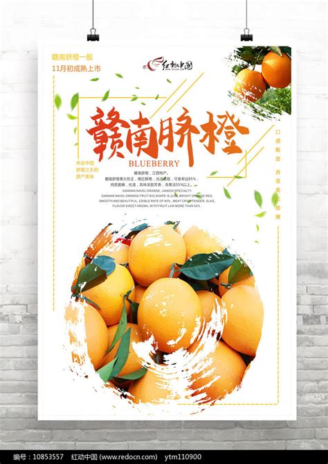 大气赣南脐橙水果宣传海报图片下载_红动中国